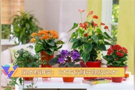 家放假花|家里放假花有什么风水讲究